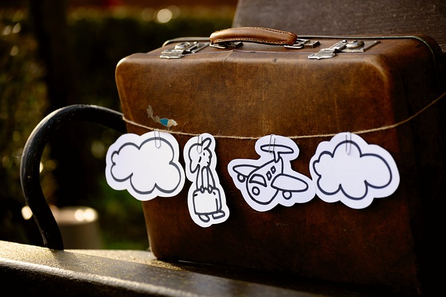 Real Fly Tour & Travels